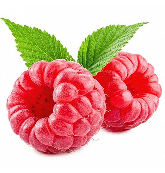Rubus idaeus Schoenemann C2 Lit. 40-60 cm