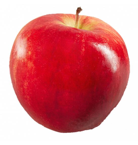 Malus domestica Reglindis C5 Lit. 125-150 cm