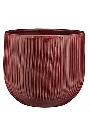 Okrasni lonec Pablo purple ribble