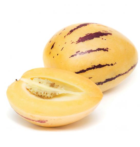 Solanum muricatum Pepino GOLD Melonasta hruška Ø12
