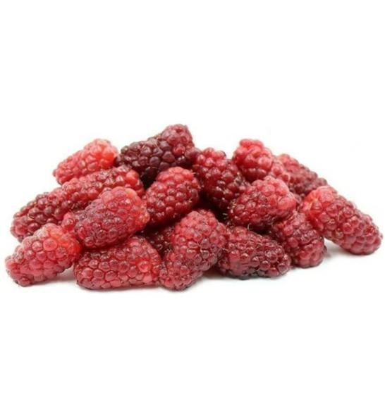 Rubus Tayberry C2 Lit. 40-60 cm
