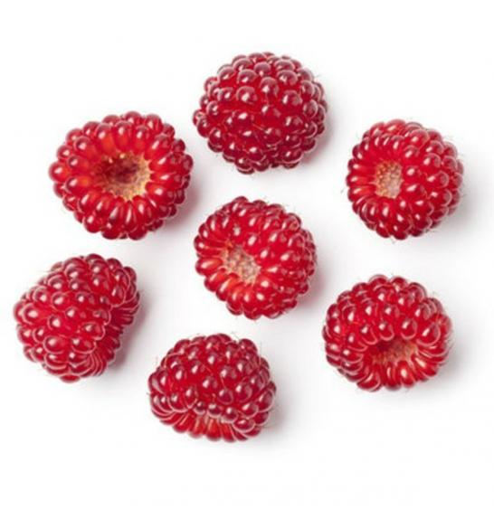 Rubus phoeniocolasius C2 Lit. 40-60 cm (25115)