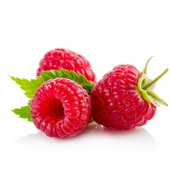 Rubus idaeus Zefa C2 Lit. 40-60 cm