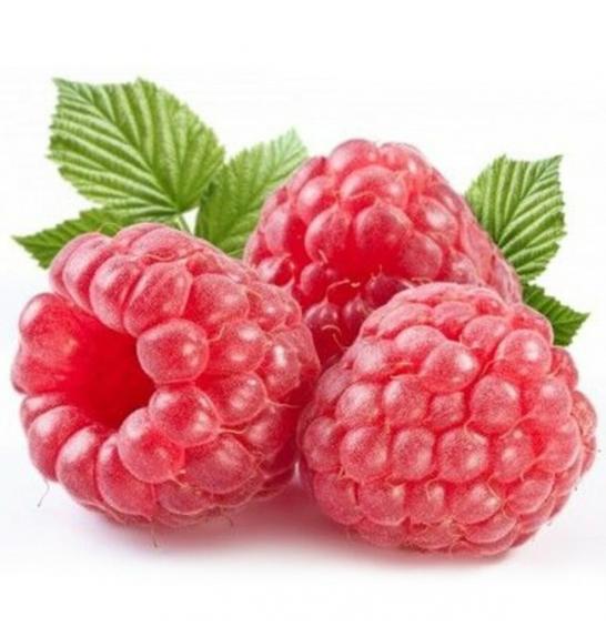 Rubus idaeus Autumn Bliss C2 Lit. 40-60 cm
