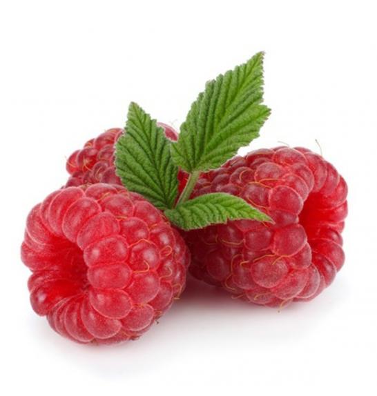 Rubus idaeus Willamette C2 Lit. 40-60 cm