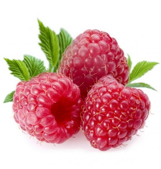 Rubus idaeus Meeker C2 Lit. 40-60 cm