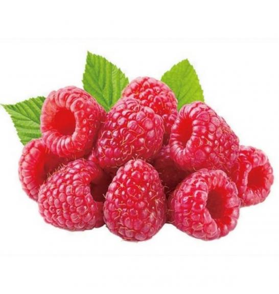Rubus idaeus Glen Ample C2 Lit. 40-60 cm