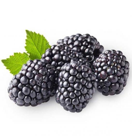 Rubus fruticosus Triple Crown C2 Lit. 40-60 cm (54107)