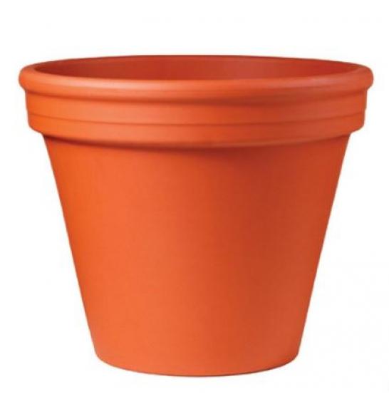 Lonec BLT Natur; 001-001-12; Ø13H12