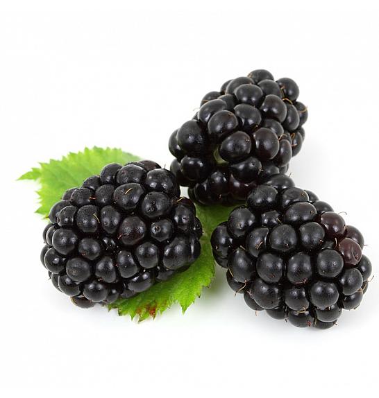 Rubus fruticosus Little black prince C2 Lit. 40-60 cm