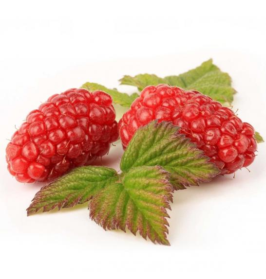 Rubus Buckingham Tayberry C2 Lit. 40-60 cm