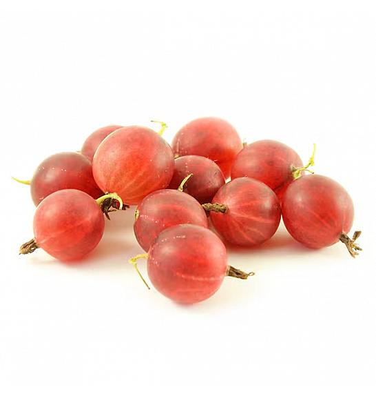 Ribes uva crispa Pax C2 Lit. 40-60 cm (96110)
