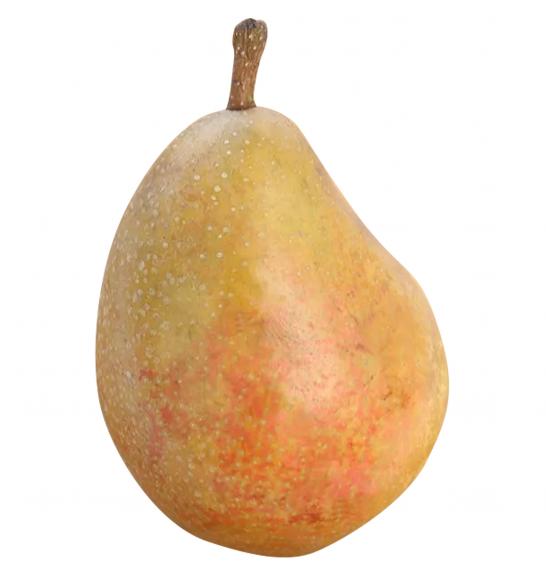 Pyrus communis Clairegau Butterbirne C5 Lit. Stebričasta