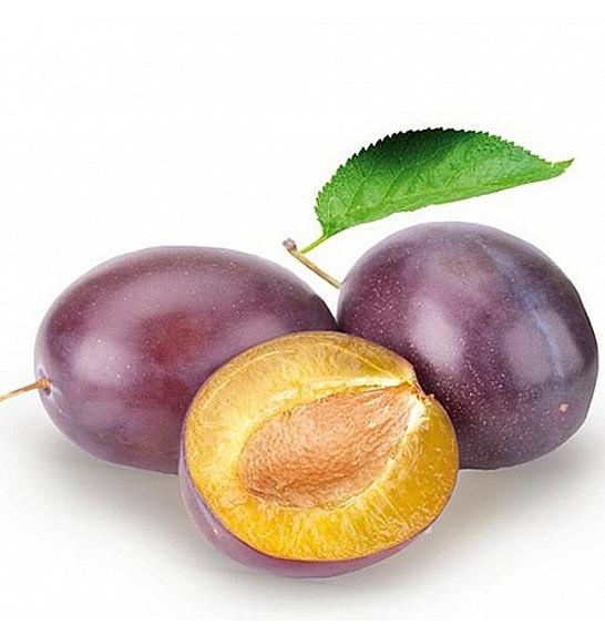 Prunus domestica The Czar C5 Lit. 80-100 cm Patio