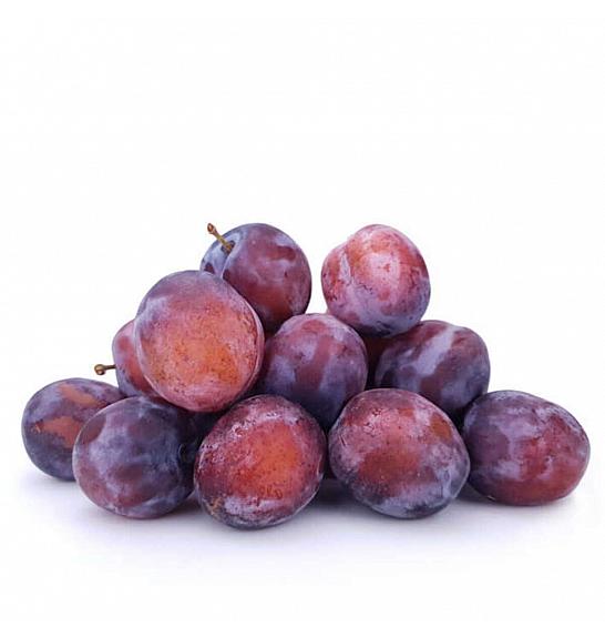 Prunus domestica Opal C5 Lit. 80-100 cm Patio