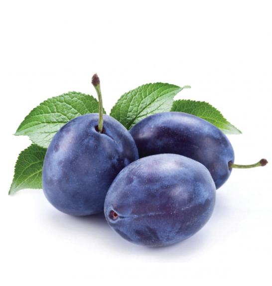 Prunus domestica Imperial C5 Lit. 80-100 cm