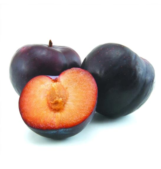 Prunus domestica Angeleno C5 Lit. 125-150 cm
