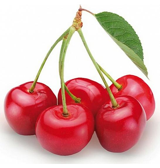 Prunus avium Sunburst C5 Lit. 80-100 cm Patio (35375)