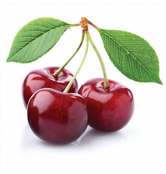 Prunus avium Kordia C5 Lit. 80-100 cm Patio (16549)