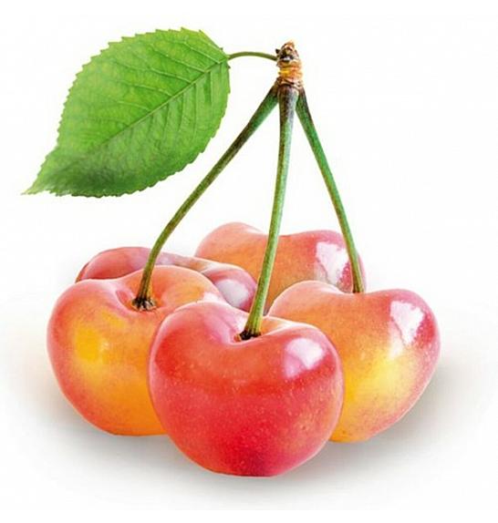 Prunus avium Bigareau Napoleon C5 Lit. 80-100 cm Patio