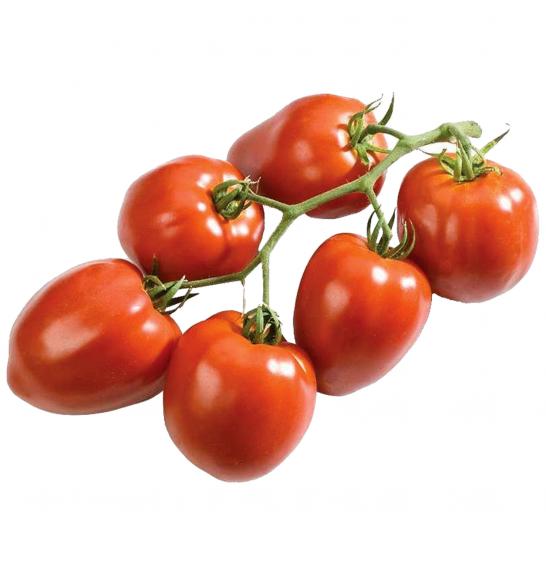 Paradižnik CE Fleurette F1 Ø12