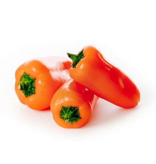 Paprika Snackly Orange F1 Ø10,5