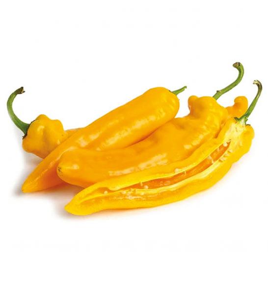 Paprika Honey Long (yellow) Ø10,5