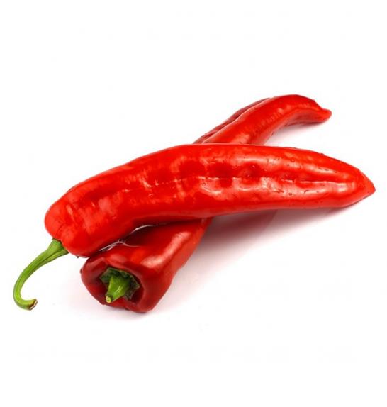 Paprika CE Lipari F1 Ø12