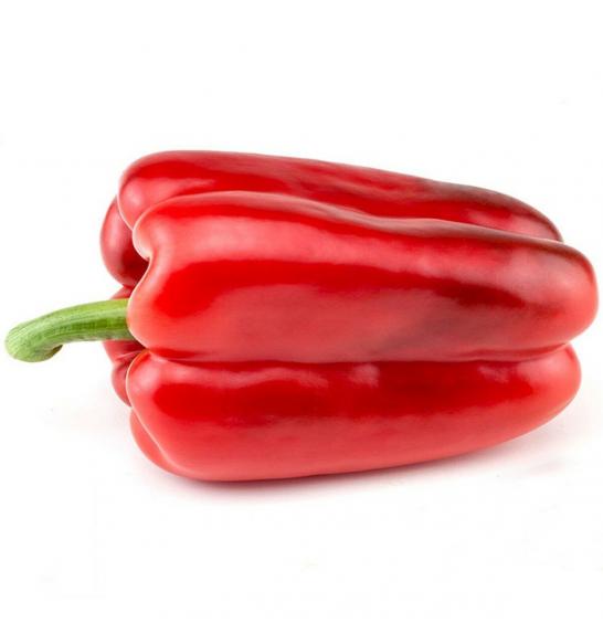 Paprika CE Lamuyo F1 Ø12