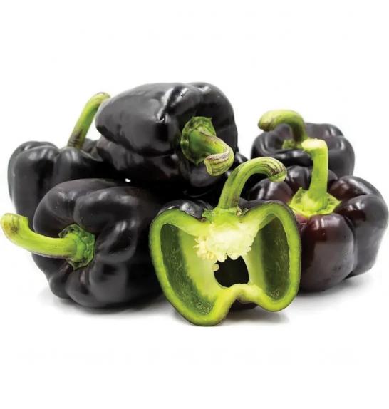 Paprika Bellania Ø10,5