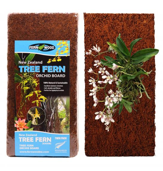 Tree Fern Orchid plošče 30x15x2,5 cm