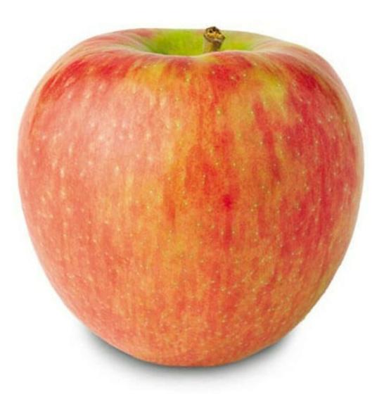 Malus domestica Gala JA C7,5 Lit. 150-175 cm