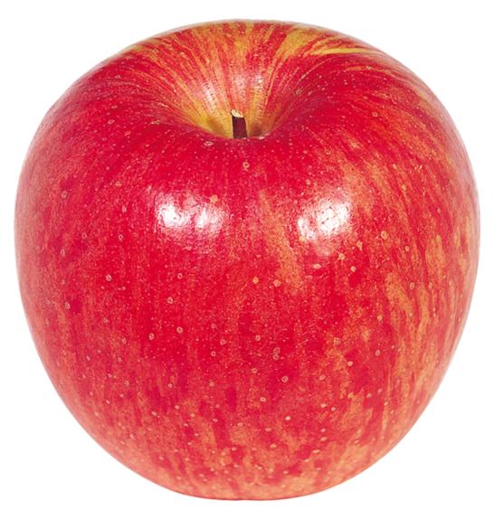 Malus domestica Ahrista C7,5 Lit. 125-150 cm