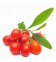Goji jagode