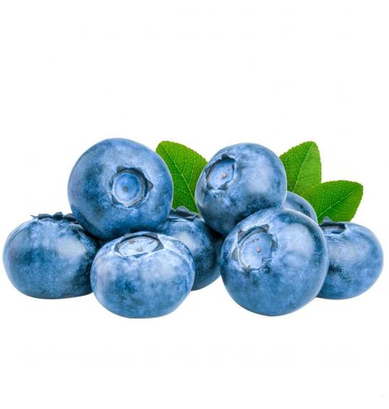 Vaccinium corymbosum Bluegold C2 Lit. 40-60 cm (16964)