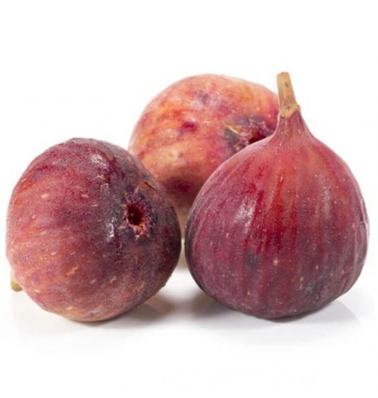 Ficus carica Brown Turkey C2 Lit. 40-60 cm (55784)