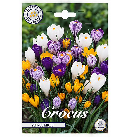 Crocus Vernus Mixed x10; 8/9