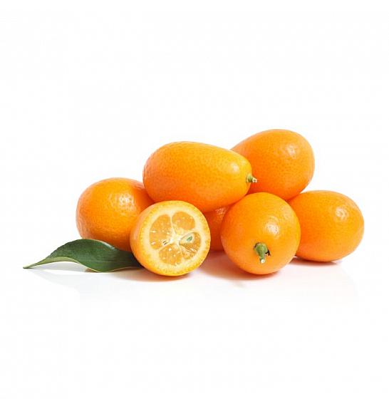 Citrus japonica Kumquat Ø20 Na steblu 30 cm