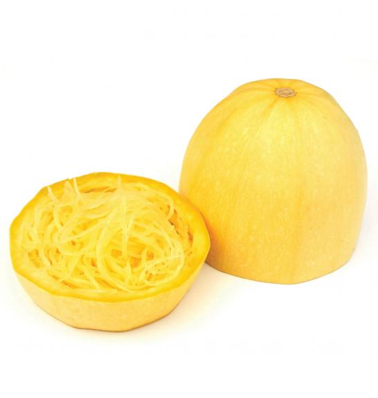 Bučka Spagetti Tivoli  Ø10,5
