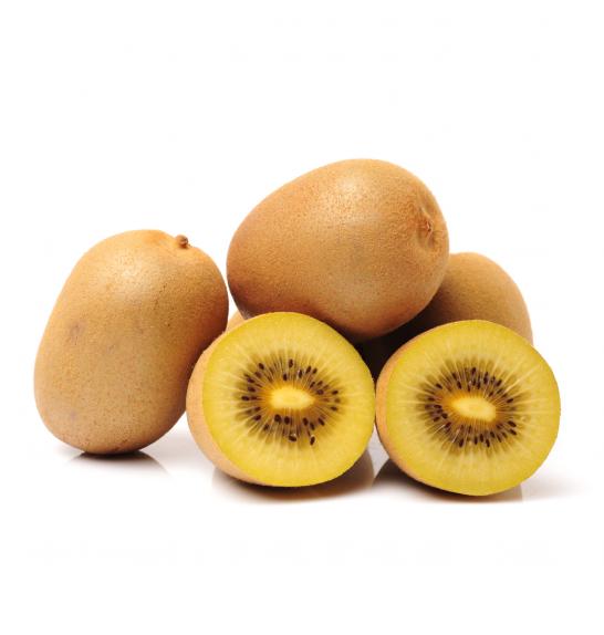 Actinidia deliciosa Gold Kiwi C2 Lit. 40-60 cm