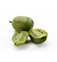Actinidia arguta Nostino C2 Lit. 40-60 cm