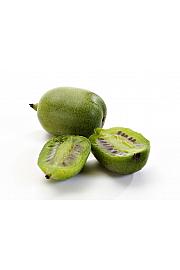 Actinidia arguta Nostino C2 Lit. 40-60 cm