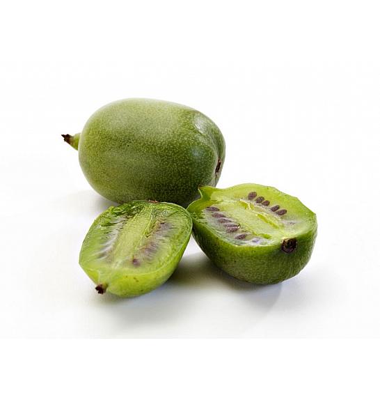 Actinidia arguta Nostino C2 Lit. 40-60 cm