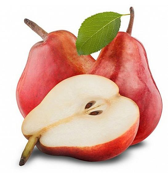 Pyrus communis Red Williams C5 Lit. 80-100 cm Patio