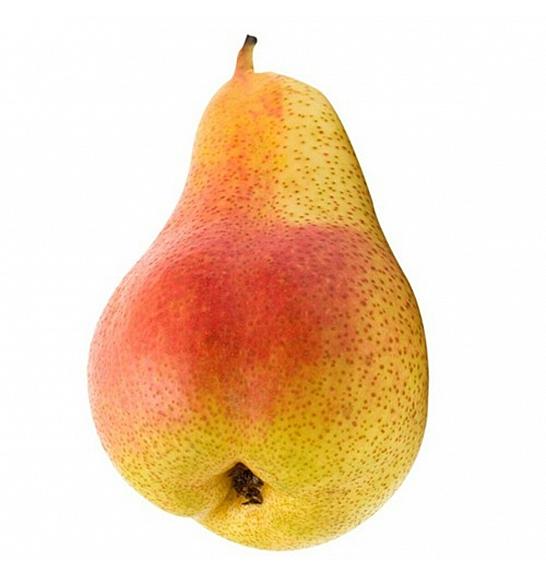 Pyrus communis Bonne Louise dAvranches C5 Lit. 80-100 cm Patio