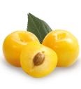 Pritlikava mirabela Mirabelle de Nancy