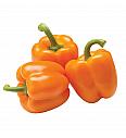 Paprika Orange Sunset F1 ™