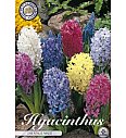 Čebulice hijacint - mix