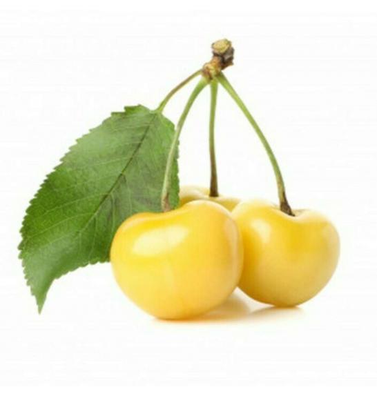 Prunus avium Dönissens Gelbe C7,5 Lit. 200-225 cm Na steblu 100 cm