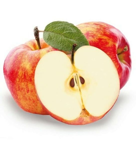 Malus domestica Cox Orange C7,5 Lit. 150-175 cm